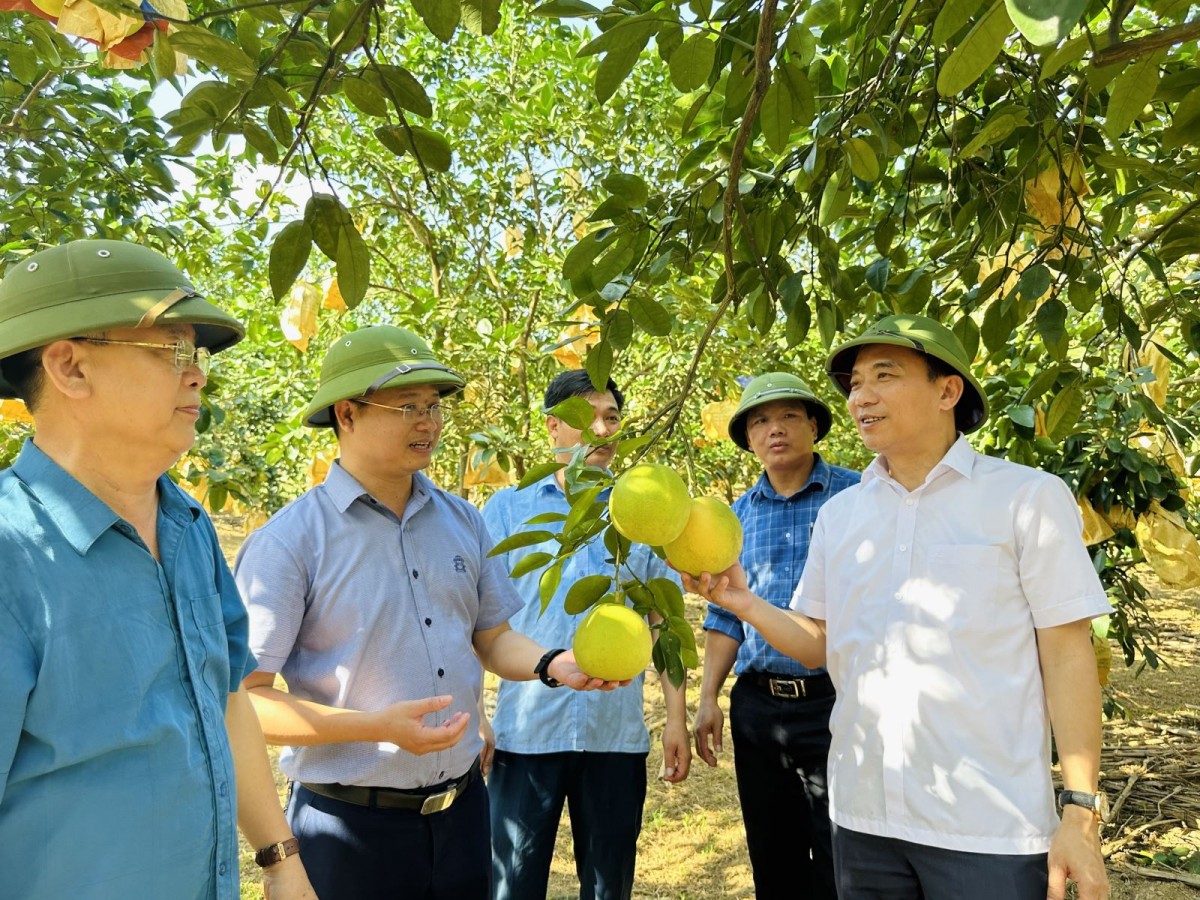 Khẳng định vai trò “cầu nối” đưa tiến bộ khoa học kỹ thuật đến với người nông dân