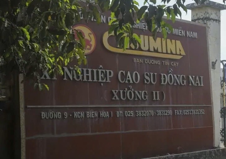 Xử phạt Xí nghiệp Cao su Đồng Nai 720 triệu đồng vì không có giấy phép môi trường