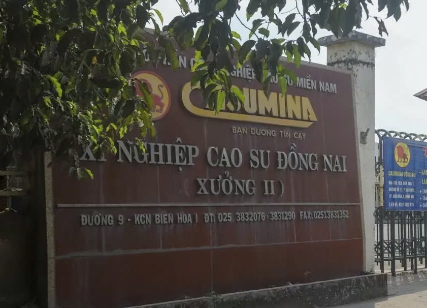 Xử phạt Xí nghiệp Cao su Đồng Nai 720 triệu đồng vì không có giấy phép môi trường