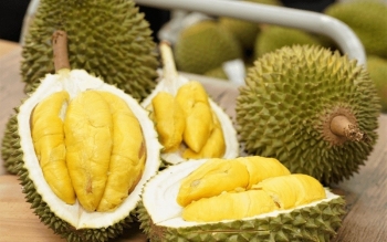 Thủ tướng chỉ đạo "khẩn", giao công an xử lý hành vi gian lận mã số vùng trồng, cơ sở đóng gói sầu riêng