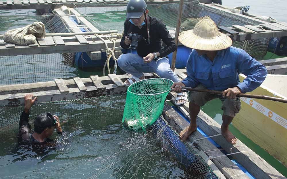Thái Bình: Triển khai nhiệm vụ trong nuôi trồng thủy sản năm 2025