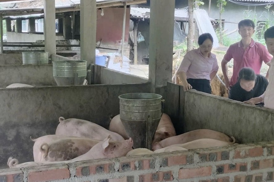 Tín dụng chính sách "thắp sáng" bản làng vùng cao