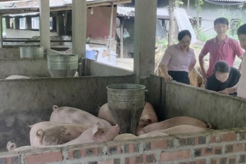 Tín dụng chính sách "thắp sáng" bản làng vùng cao