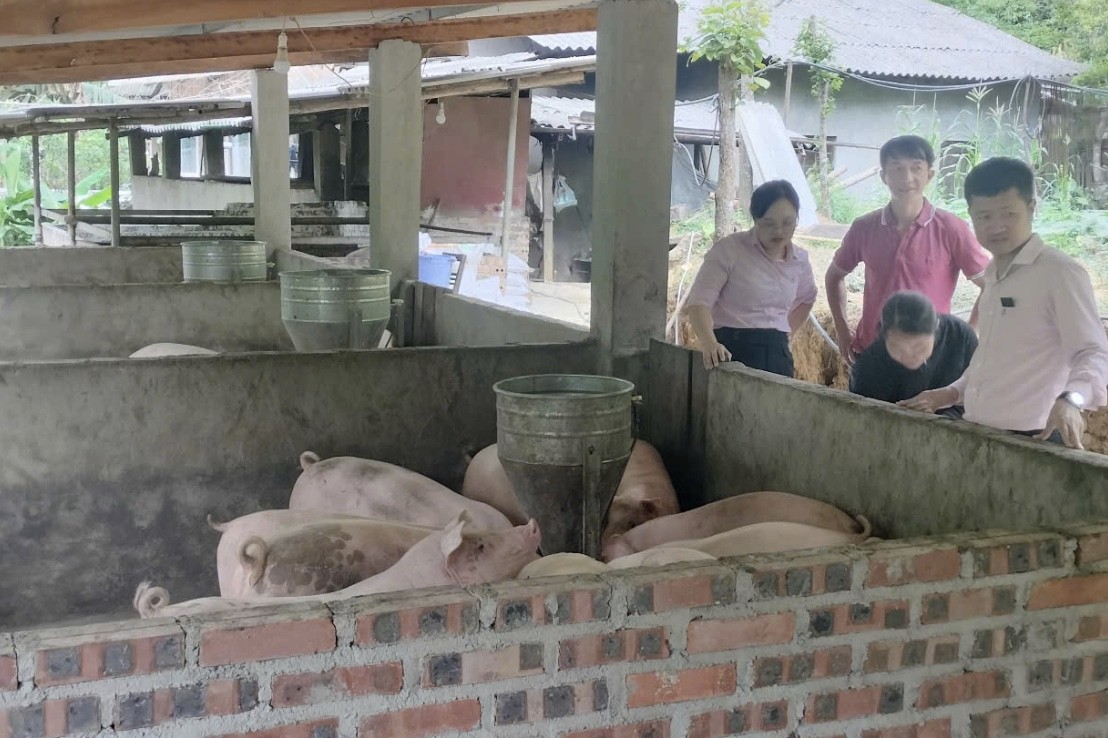 Tín dụng chính sách 