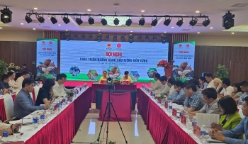 Hành động quyết liệt để phát triển bền vững ngành hàng sầu riêng