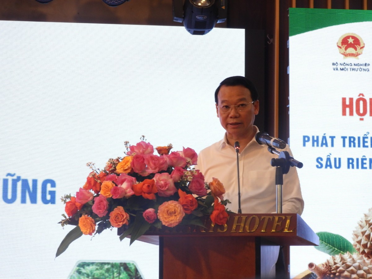 Hành động quyết liệt để phát triển bền vững ngành hàng sầu riêng