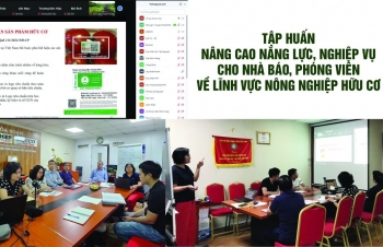 Tập huấn nâng cao năng lực, nghiệp vụ cho nhà báo, phóng viên về lĩnh vực nông nghiệp hữu cơ