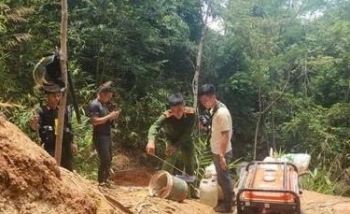 Gia Lai: Điều tra, xử lý vụ khai thác vàng trái phép tại BQL rừng phòng hộ Đak Đoa