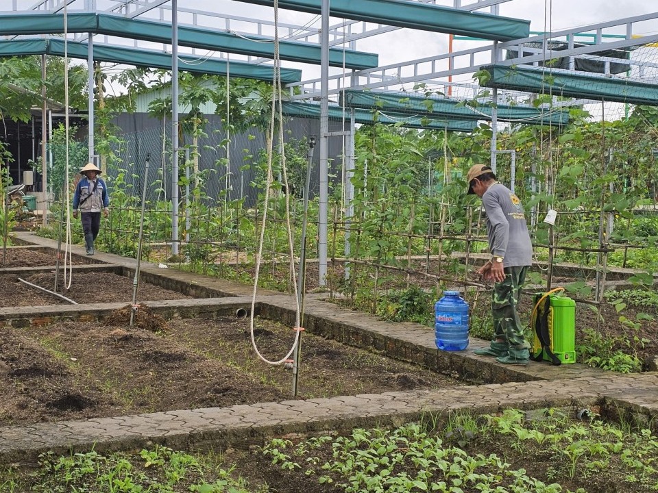Sai phạm tại dự án SX rau an toàn theo tiêu chuẩn VietGAP: Phớt lờ chỉ đạo của Chủ tịch tỉnh Bình Định?