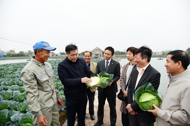 Nâng cao chất lượng và mở rộng thị trường rau hữu cơ
