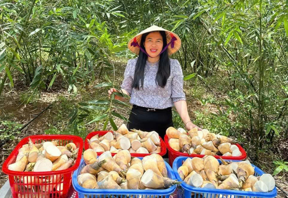 [Longform] KỲ 2: Nông dân "trong mê cung" giấy chứng nhận hữu cơ: Lựa chọn chứng nhận hữu cơ phù hợp với thị trường