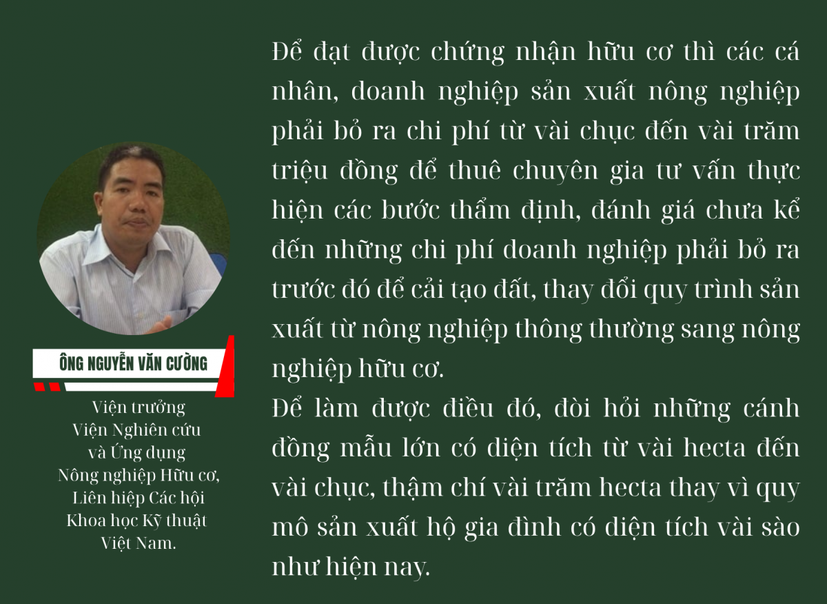 [Longform] KỲ 2: Nông dân "trong mê cung" giấy chứng nhận hữu cơ: Lựa chọn chứng nhận hữu cơ phù hợp với thị trường