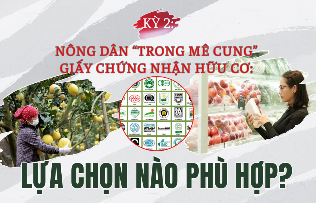 [Longform] KỲ 2: Nông dân "trong mê cung" giấy chứng nhận hữu cơ: Lựa chọn nào phù hợp?