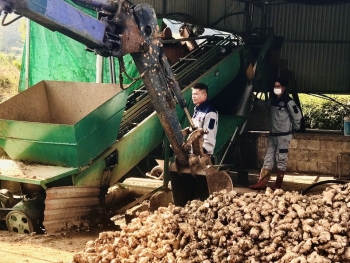 Hợp tác xã - Động lực thúc đẩy kinh tế, xã hội phát triển bền vững