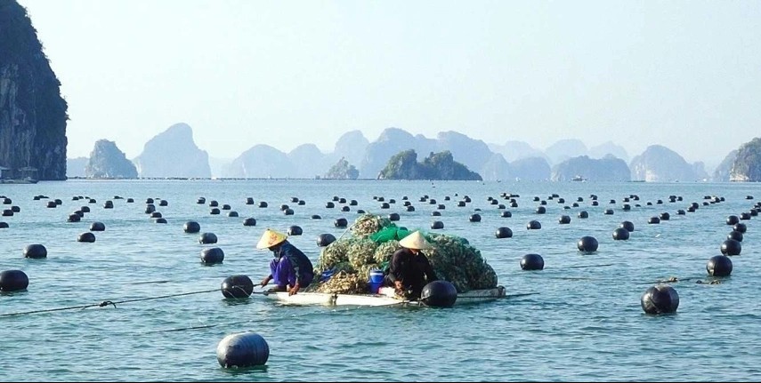 Quảng Ninh: Hiệu quả từ Quỹ Hỗ trợ nông dân tỉnh