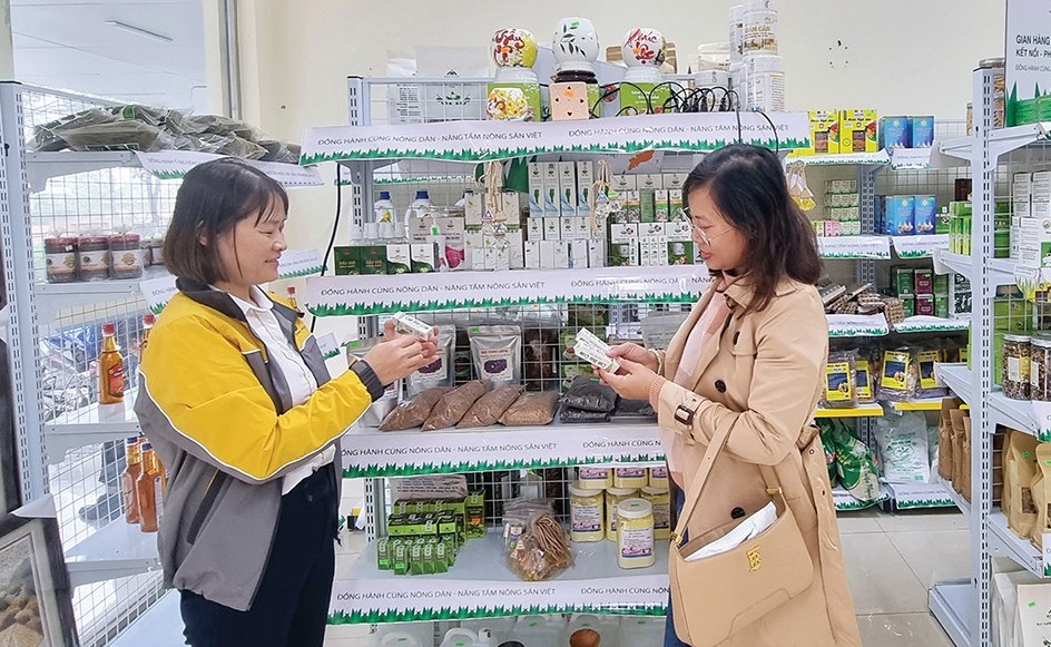 Quỹ hỗ trợ nông dân - đồng hành cùng nông dân phát triển kinh tế tập thể