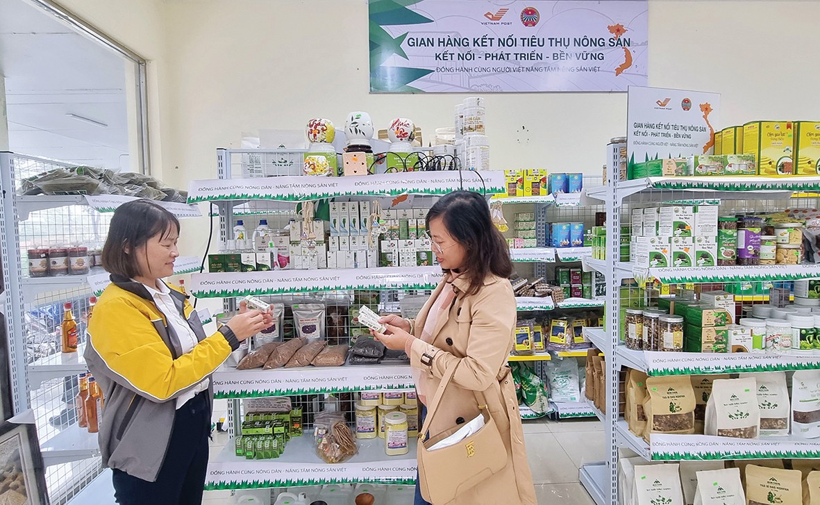 Quỹ hỗ trợ nông dân - đồng hành cùng nông dân phát triển kinh tế tập thể