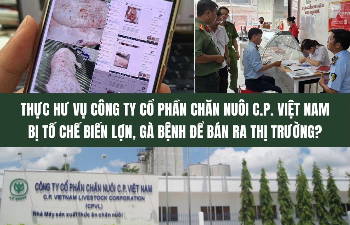 Thực hư vụ Công ty Cổ phần Chăn nuôi C.P Việt Nam bị tố chế biến lợn, gà bệnh để bán ra thị trường?