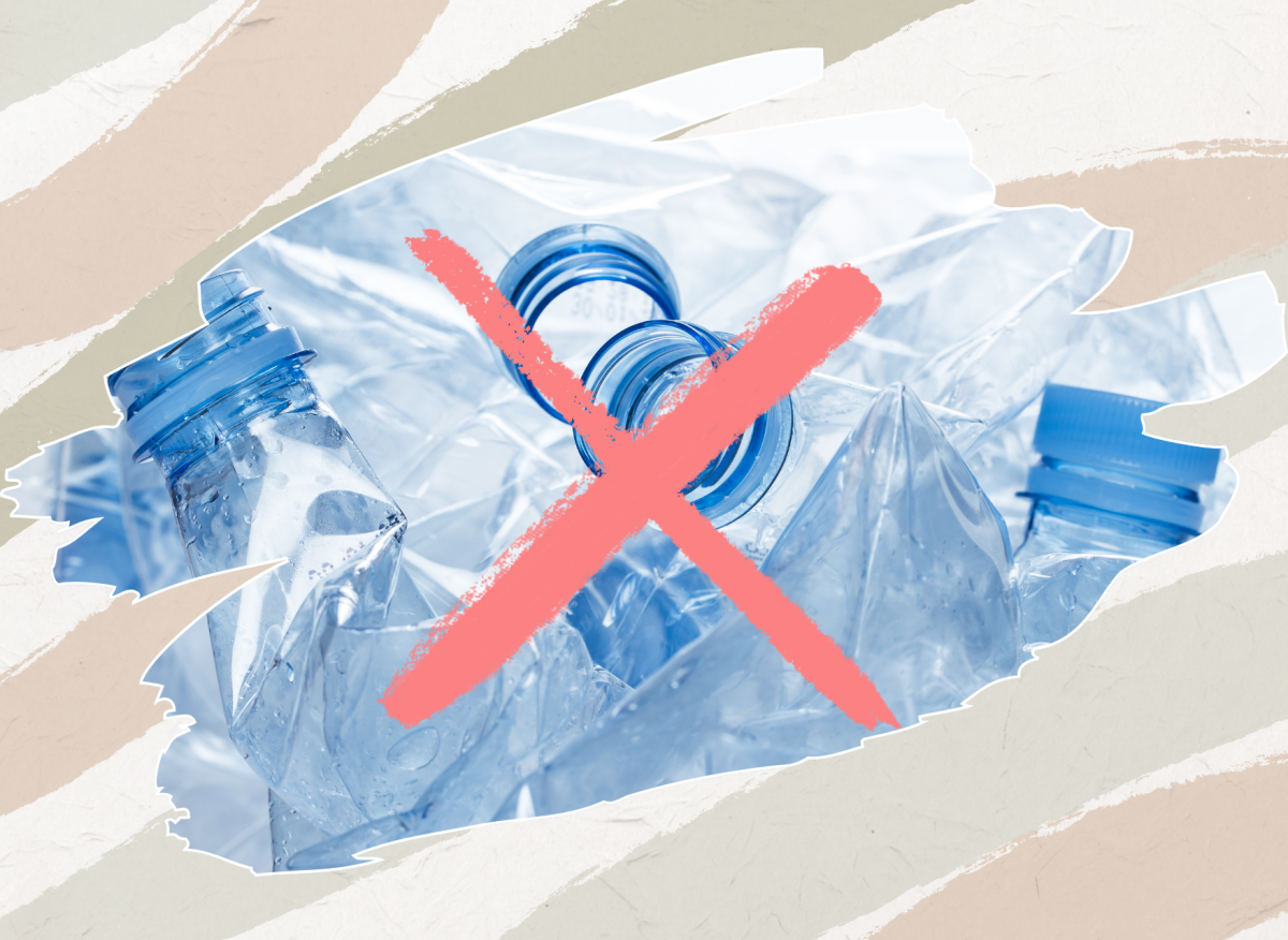 “Cuộc chiến với rác thải nhựa không thể thành công bằng nỗ lực đơn lẻ”