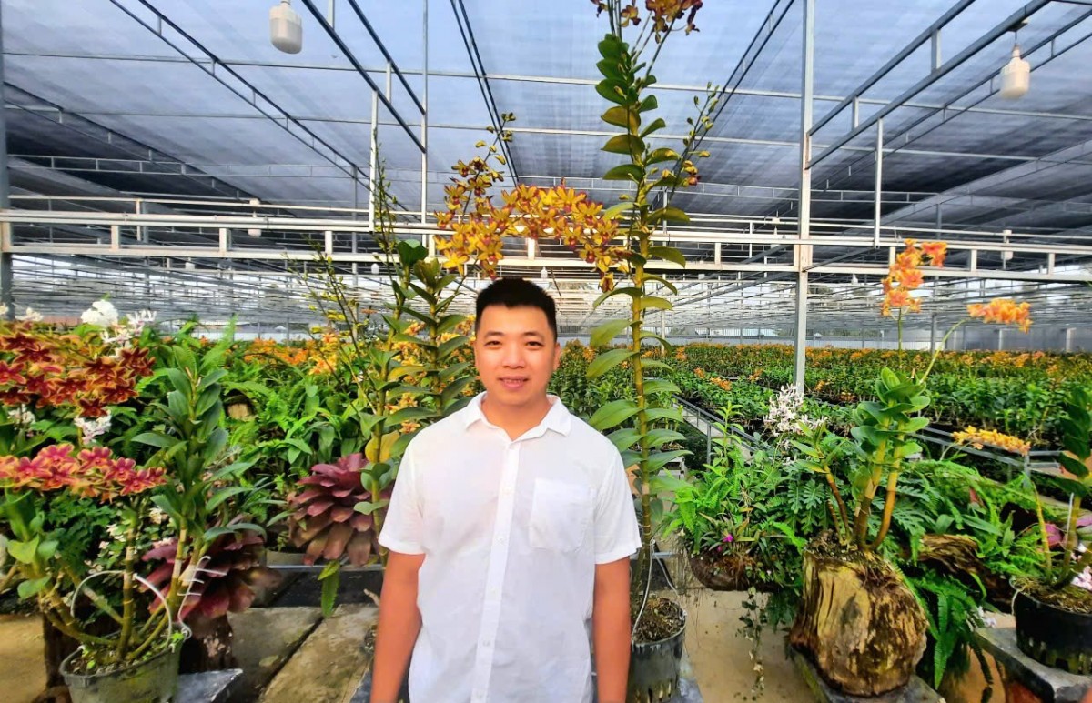 Ứng dụng công nghệ trồng lan, thu tiền tỷ mỗi năm