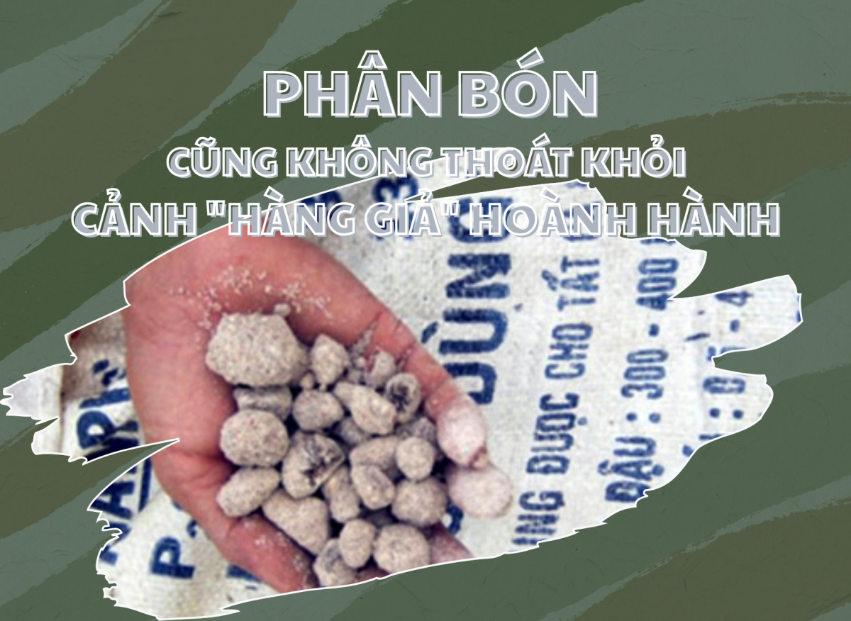 Phân bón cũng không thoát khỏi cảnh 