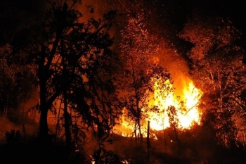 Cao Bằng: Xảy ra 79 vụ cháy rừng làm thiệt hại 144,6 ha