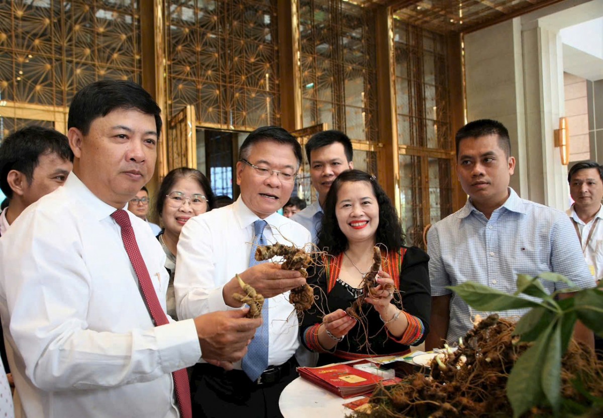 Quảng Nam khai hội Sâm Ngọc Linh, đưa “quốc bảo” Việt Nam ra thế giới