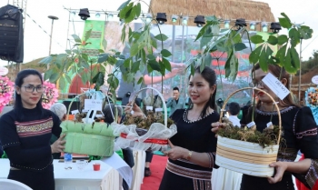 Tri thức dân gian về Sâm Ngọc Linh chính thức trở thành Di sản văn hóa phi vật thể quốc gia