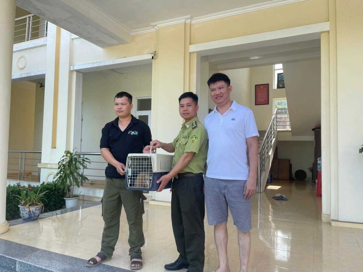 Đại diện cá nhân và đơn vị liên quan bàn giao 01 cá thể Cu li lớn cho Trung tâm Cứu hộ, Bảo tồn và Phát triển sinh vật - Vườn Quốc gia Cúc Phương