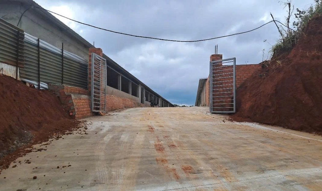 Đắk Nông: Chủ trang trại gà xây dựng trái phép trên đất nông nghiệp không chấp hành khắc phục hậu quả