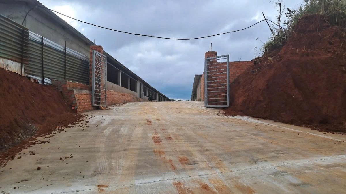 Đắk Nông: Chủ trang trại gà xây dựng trái phép trên đất nông nghiệp không chấp hành khắc phục hậu quả