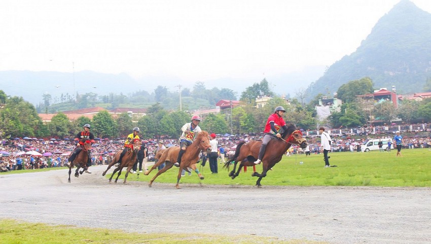 Sôi động giải đua ngựa tại Festival cao nguyên trắng Bắc Hà