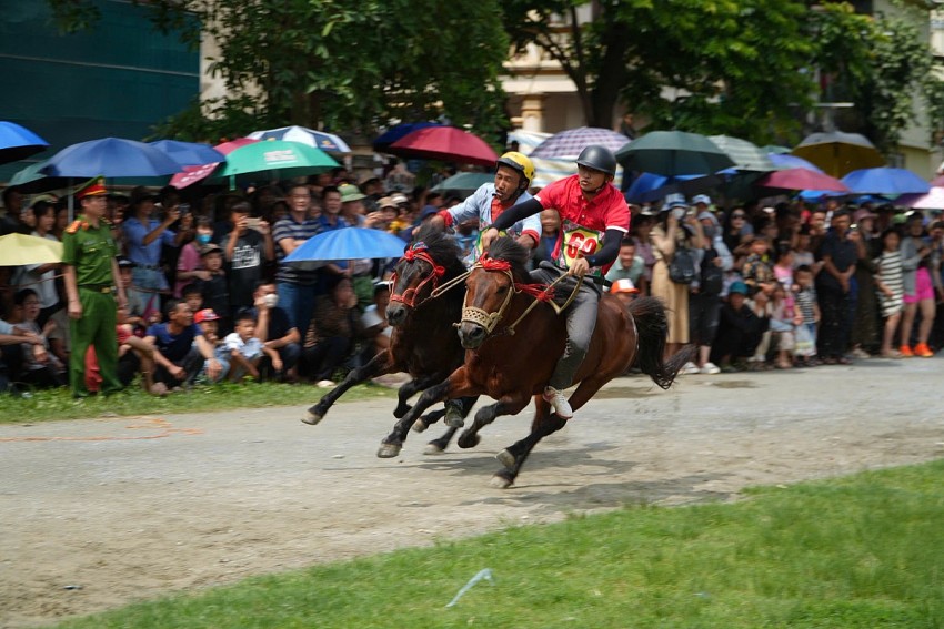 Sôi động giải đua ngựa tại Festival cao nguyên trắng Bắc Hà