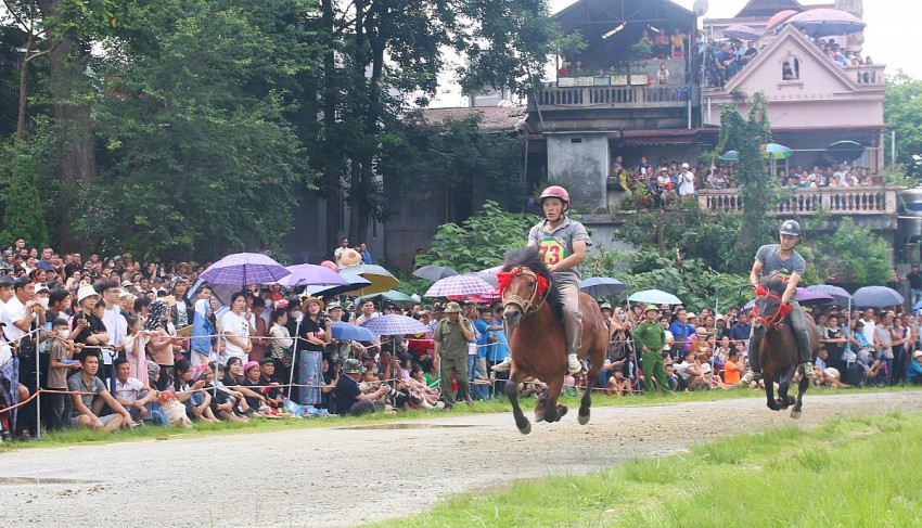 Sôi động giải đua ngựa tại Festival cao nguyên trắng Bắc Hà