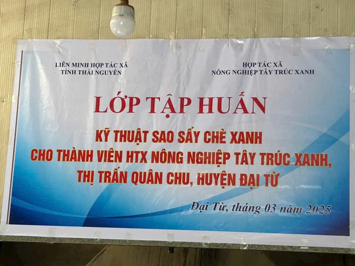 Người phụ nữ đam mê xây dựng thương hiệu chè hữu cơ