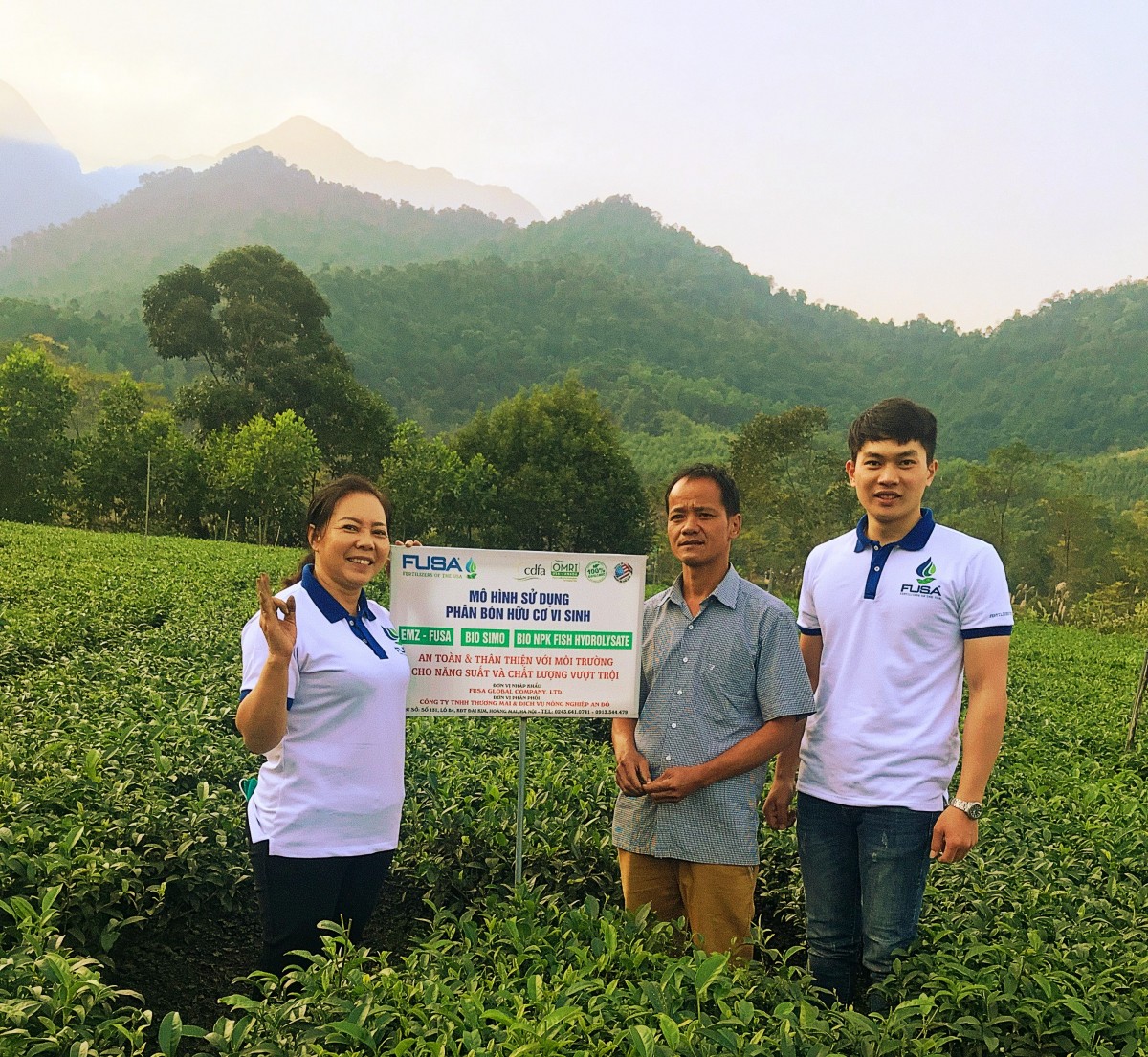 Người phụ nữ đam mê xây dựng thương hiệu chè hữu cơ