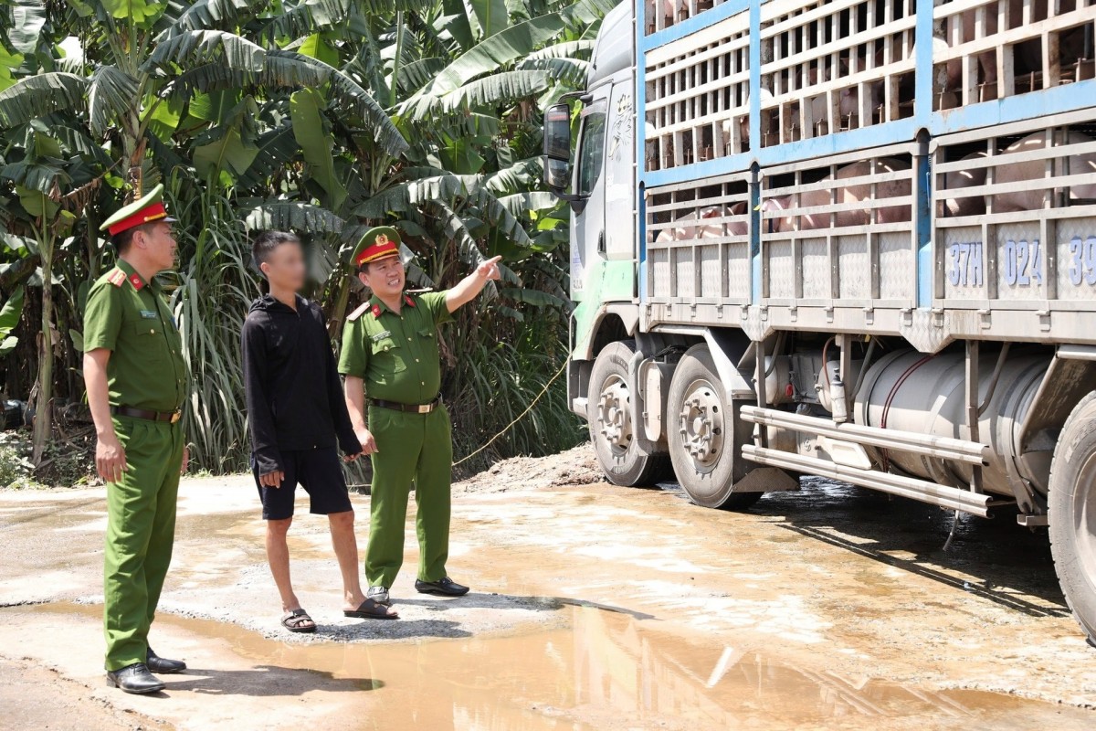 Chấn chỉnh việc quản lý hoạt động giết mổ, quy trình kiểm soát giết mổ động vật