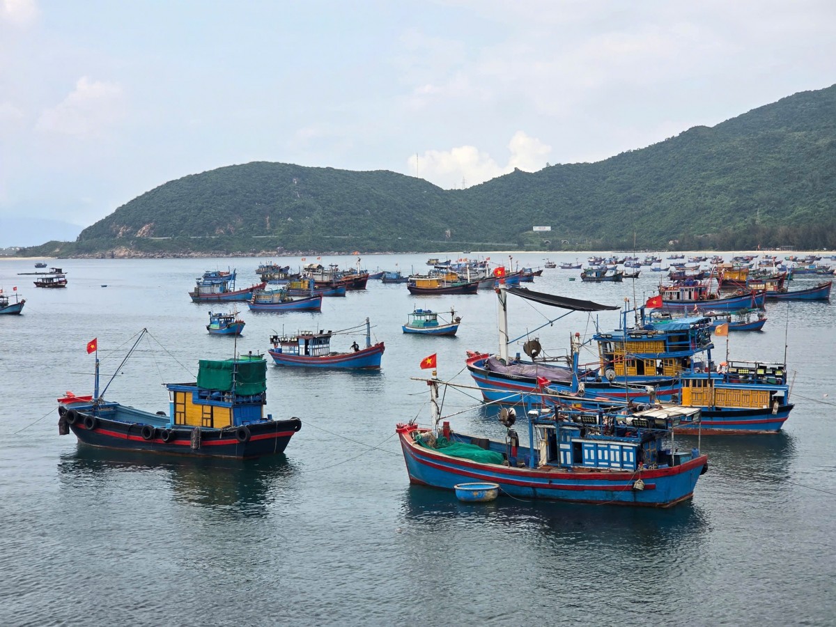 Phú Yên: Sản lượng thuỷ sản 6 tháng đầu năm đạt trên 61% so với kế hoạch
