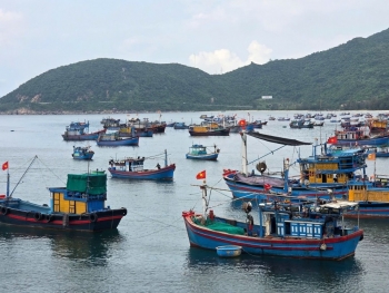 Phú Yên: Sản lượng thuỷ sản 6 tháng đầu năm đạt trên 61% so với kế hoạch