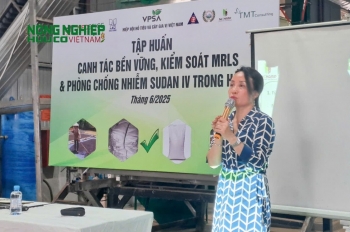 Đắk Nông: Tập huấn canh tác hồ tiêu bền vững và cảnh báo Sudan đỏ cho nông dân
