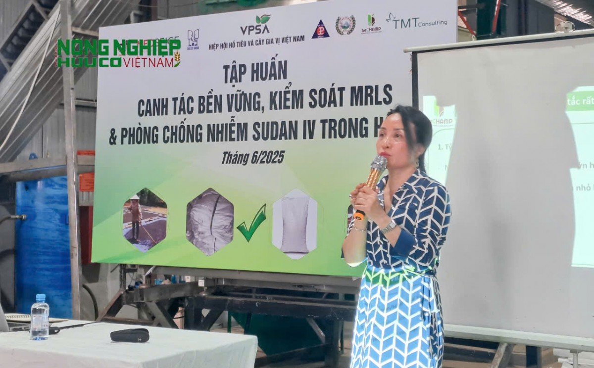 Đắk Nông: Tập huấn canh tác hồ tiêu bền vững và cảnh báo Sudan đỏ cho nông dân