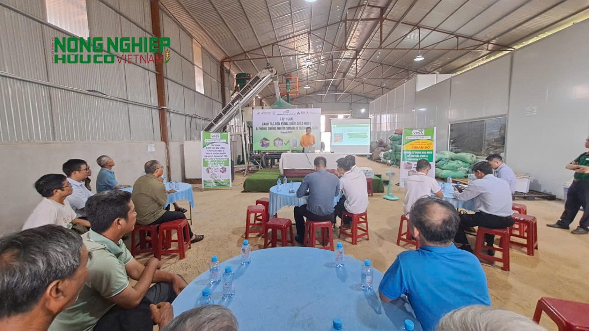 Đắk Nông: Tập huấn canh tác hồ tiêu bền vững và cảnh báo Sudan đỏ cho nông dân