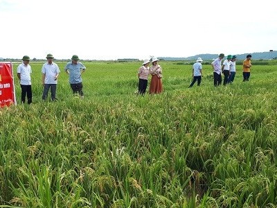 Bài cuối: "Cú huých" nào để đưa nông nghiệp Thanh Hóa vươn xa?