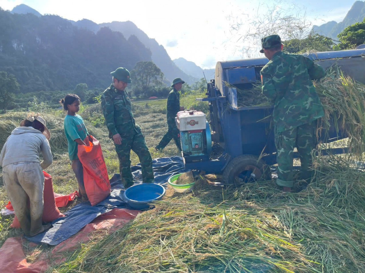 Biên phòng Quảng Bình giúp bà con dân bản thu hoạch lúa Đông Xuân năm 2025