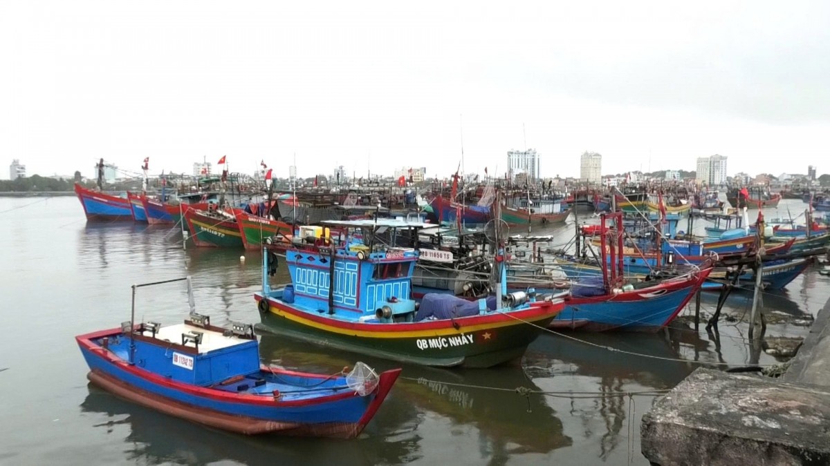 Hai tàu cá ngư dân của ngư dân Quảng Bình bị chìm trên vùng biển Quảng Ngãi