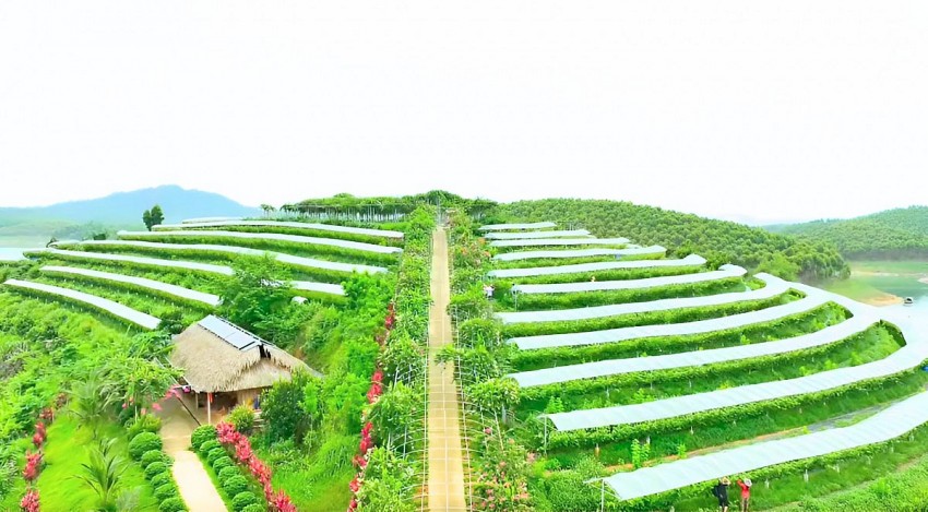 Chàng kỹ sư nông lâm với khát vọng phát triển nông nghiệp xanh, bền vững