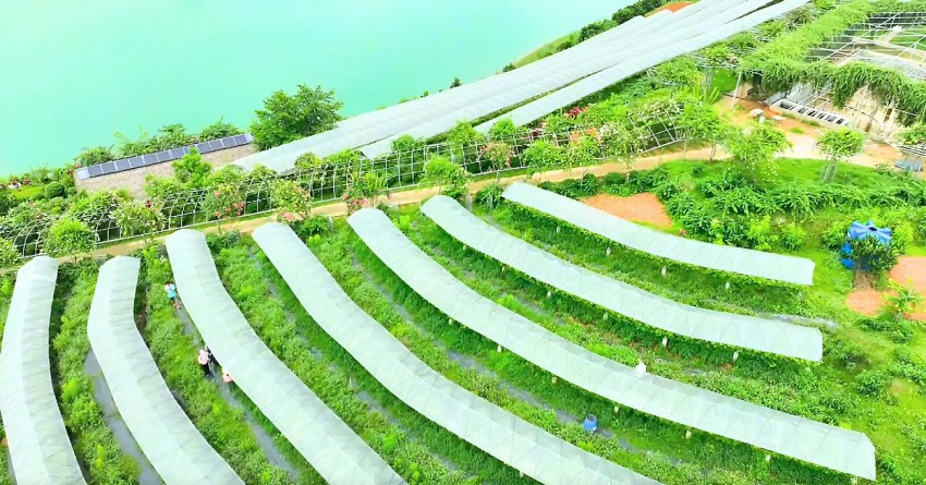 Chàng kỹ sư nông lâm với khát vọng phát triển nông nghiệp xanh, bền vững