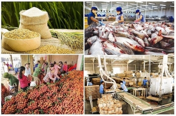 hai phong nong lam thuy san dat 8568 ty dong trong 6 thang dau nam