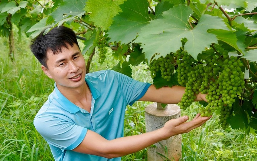 Chàng kỹ sư nông lâm với khát vọng phát triển nông nghiệp xanh, bền vững