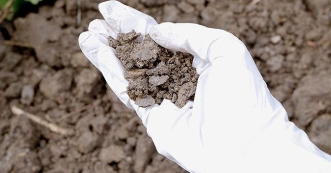 Cảnh báo Cadmium tích tụ trong đất nông nghiệp ở Châu Âu